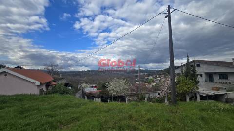 Lote de Terreno  Venda em Couto de Baixo e Couto de Cima,Viseu