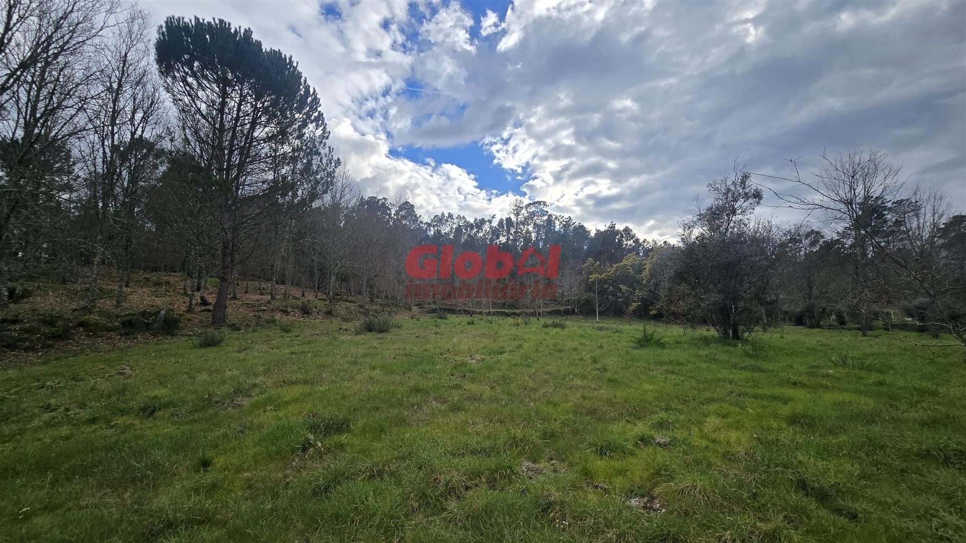 Lote de Terreno  Venda em Couto de Baixo e Couto de Cima,Viseu