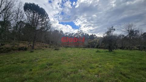 Lote de Terreno  Venda em Couto de Baixo e Couto de Cima,Viseu