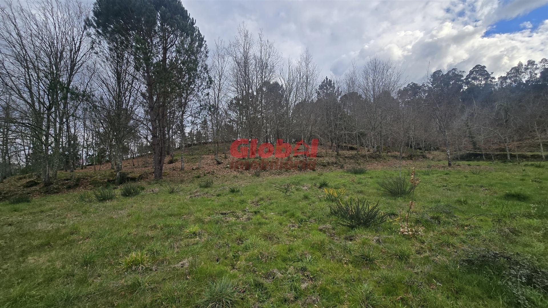 Lote de Terreno  Venda em Couto de Baixo e Couto de Cima,Viseu