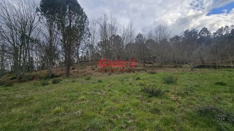 Lote de Terreno  Venda em Couto de Baixo e Couto de Cima,Viseu
