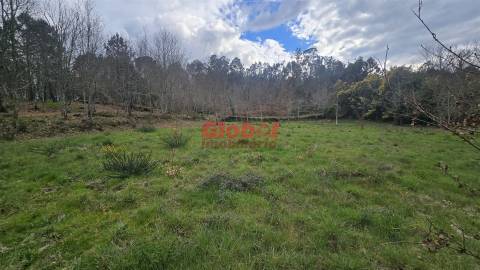 Lote de Terreno  Venda em Couto de Baixo e Couto de Cima,Viseu