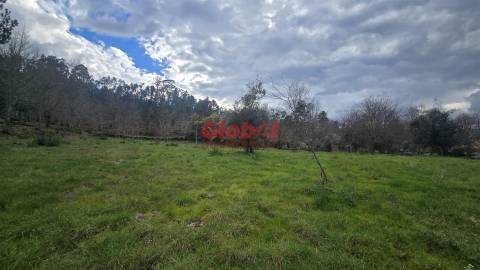 Lote de Terreno  Venda em Couto de Baixo e Couto de Cima,Viseu