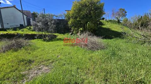 Terreno  Venda em Rio de Loba,Viseu
