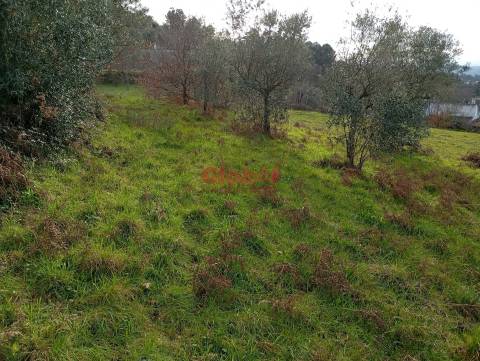 Terreno  Venda em Gouveia,Gouveia