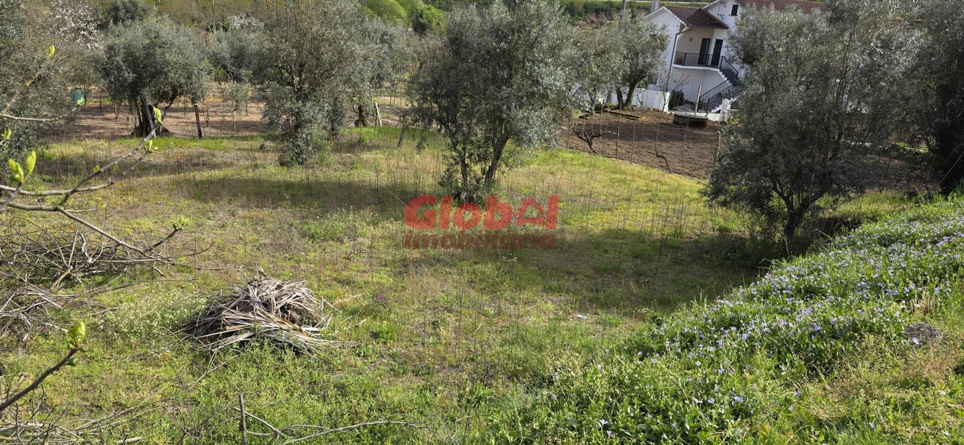 Terreno Para Construção  Venda em Fragosela,Viseu