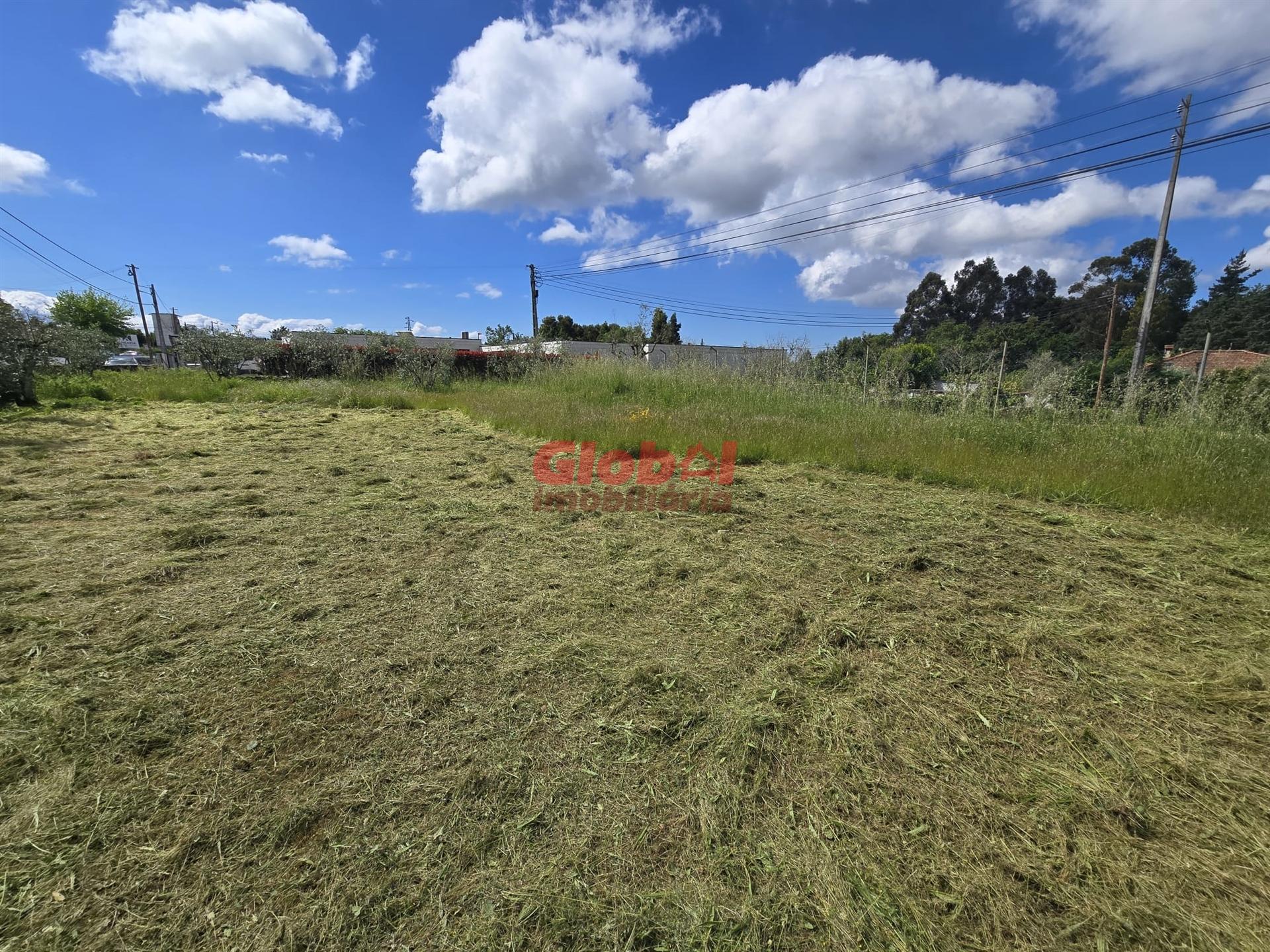 Terreno  Venda em Mundão,Viseu