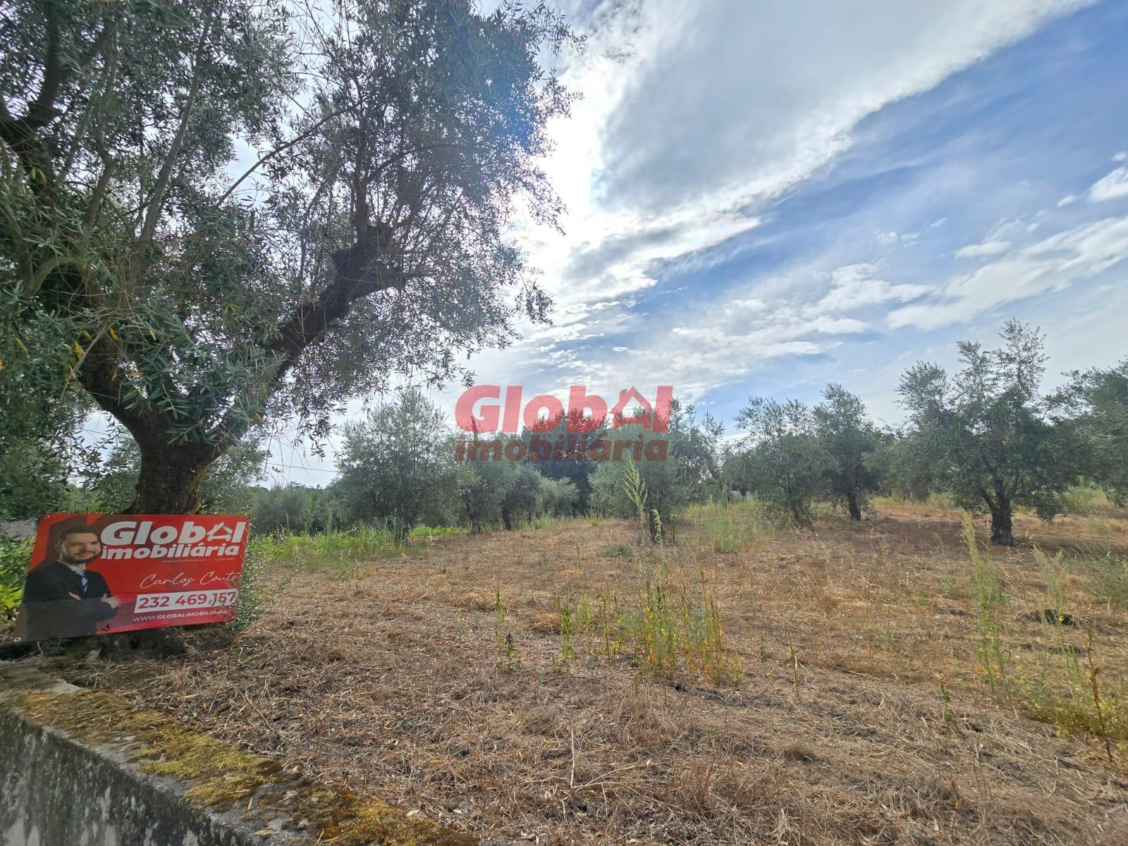 Terreno  Venda em Silgueiros,Viseu