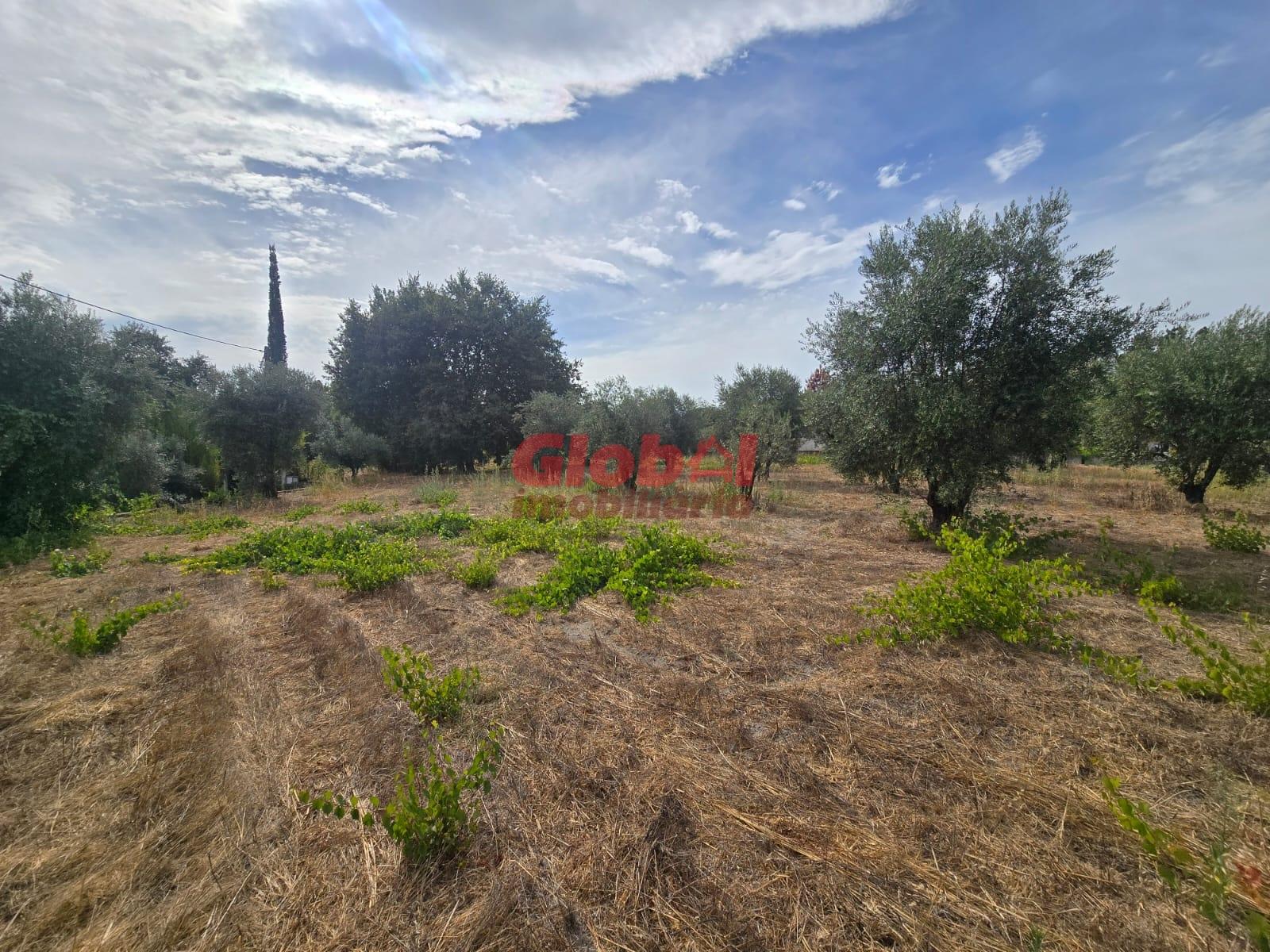 Terreno  Venda em Silgueiros,Viseu