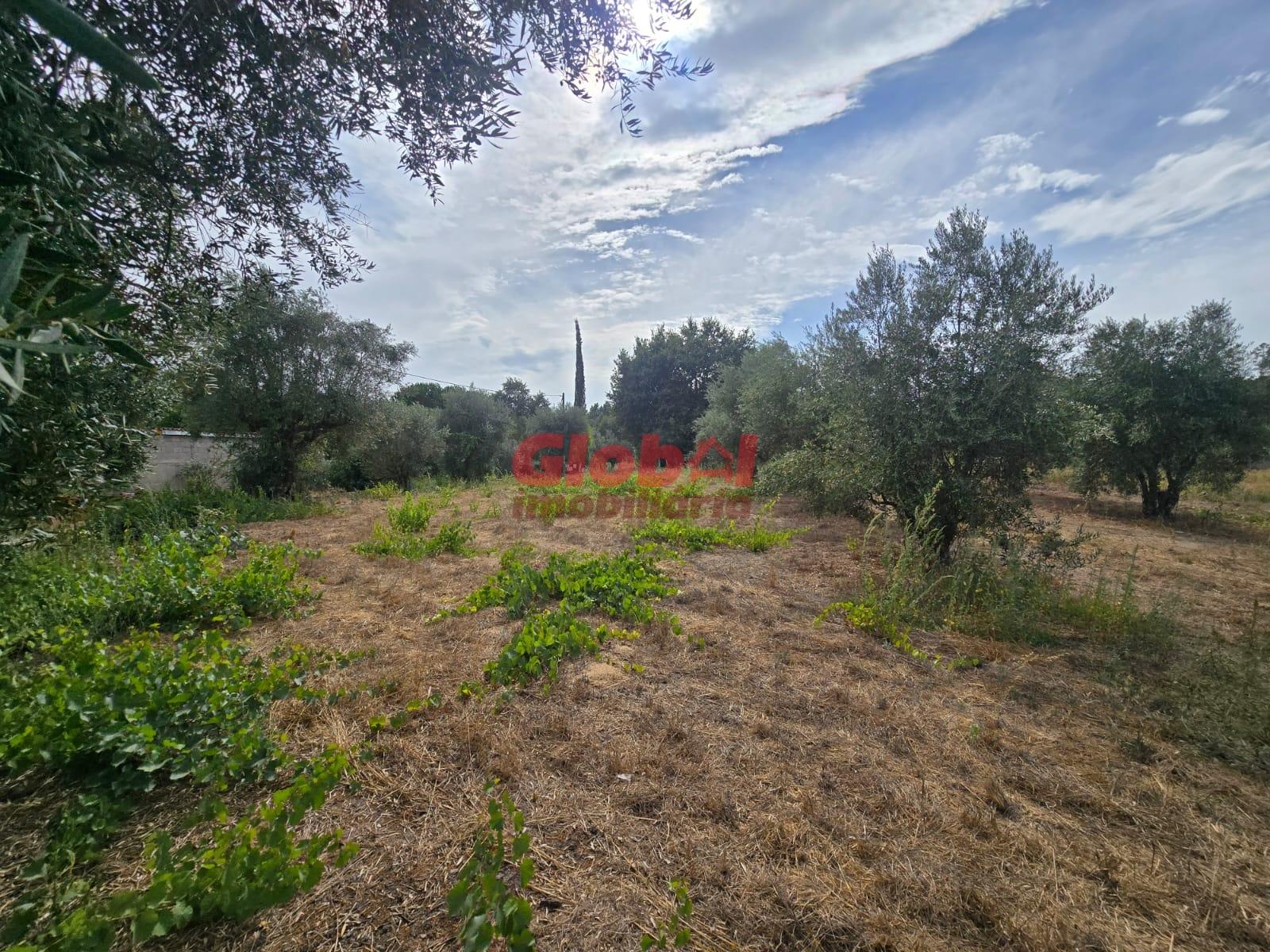 Terreno  Venda em Silgueiros,Viseu