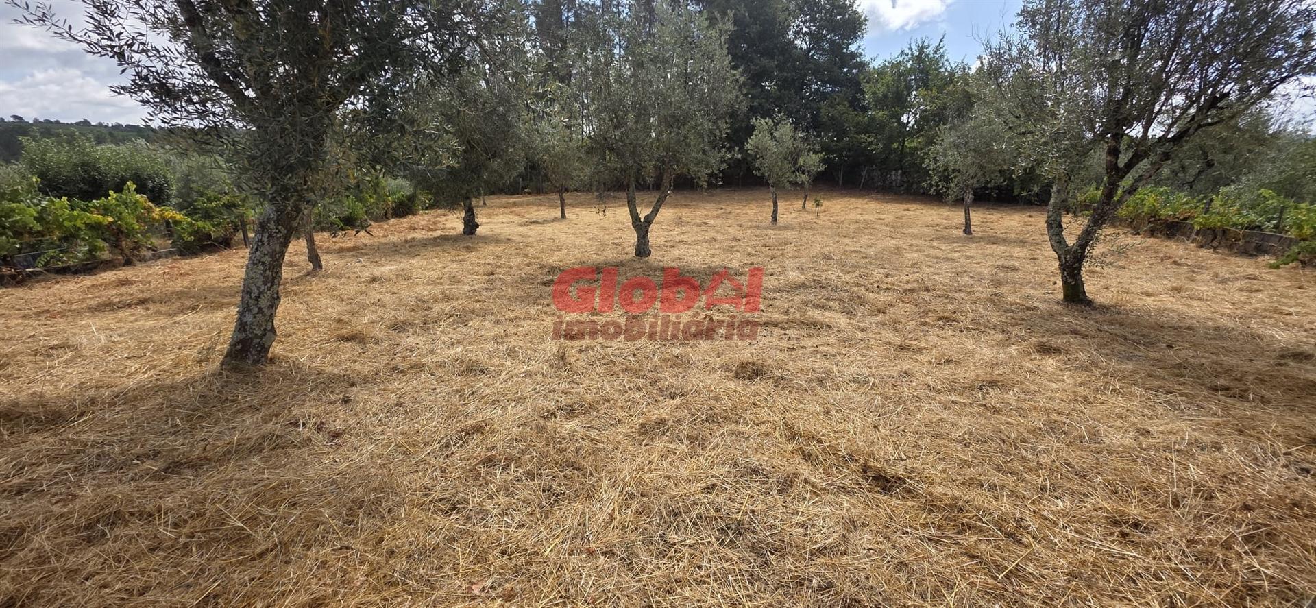 Terreno Para Construção, Viseu, Viseu, Santos Evos