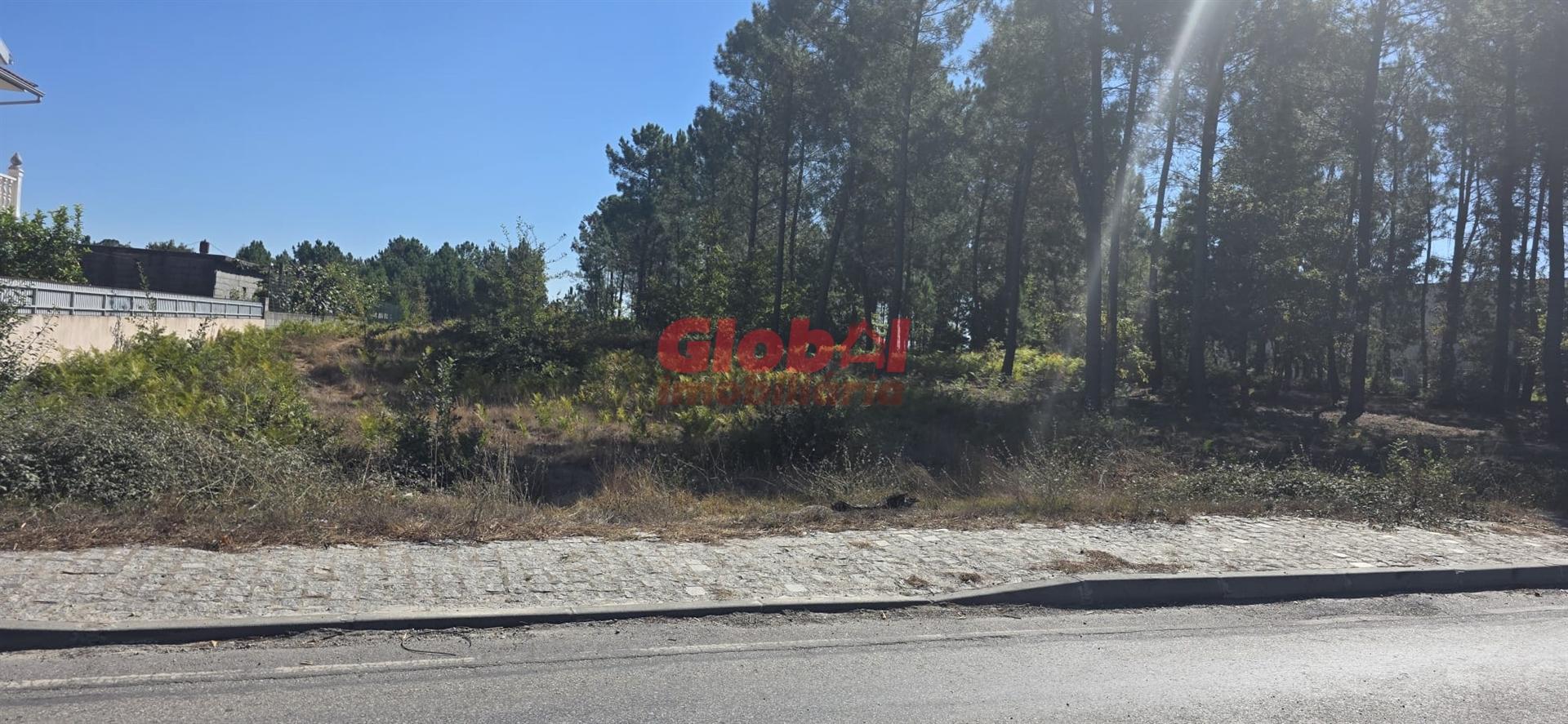 Terreno Para Construção  Venda em Cavernães,Viseu