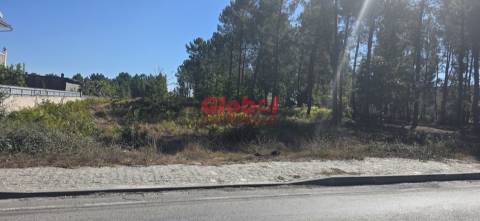 Terreno Para Construção  Venda em Cavernães,Viseu