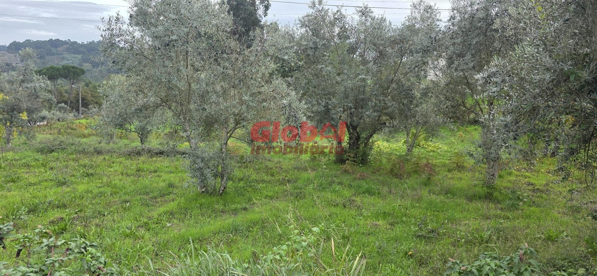 Terreno Para Construção  Venda em Boa Aldeia, Farminhão e Torredeita,Viseu