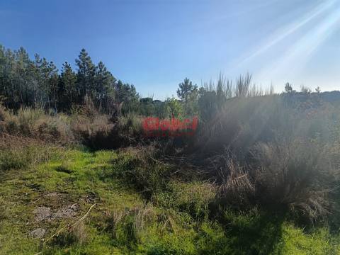 Terreno Para Construção  Venda em Repeses e São Salvador,Viseu