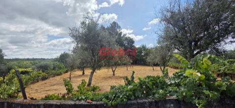 Terreno Para Construção  Venda em Santos Evos,Viseu