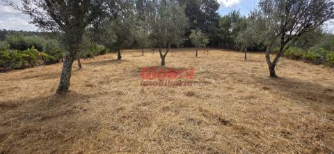 Terreno Para Construção  Venda em Santos Evos,Viseu