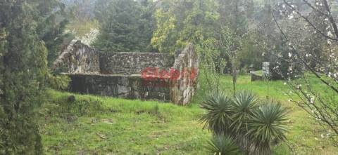 Quinta  Venda em Fornos de Maceira Dão,Mangualde