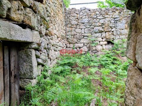 Moradia para Restaurar  Venda em Arnas,Sernancelhe