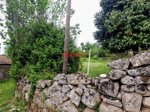 Terreno  Venda em Arnas,Sernancelhe