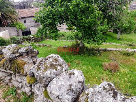 Terreno  Venda em Arnas,Sernancelhe
