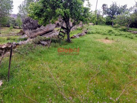 Terreno  Venda em Arnas,Sernancelhe