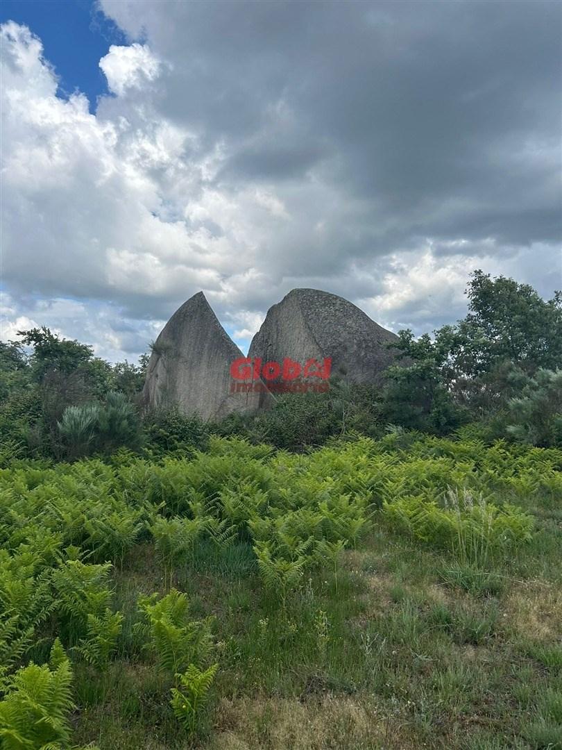 Quinta  Venda em Tavares (Chãs, Várzea e Travanca),Mangualde