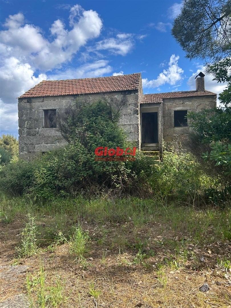 Quinta  Venda em Abrunhosa-a-Velha,Mangualde