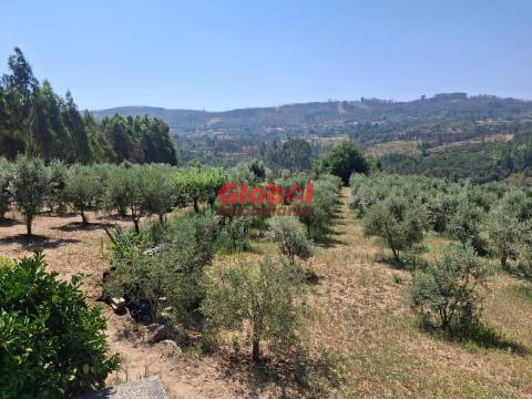 Quinta  Venda em Castelo de Penalva,Penalva do Castelo