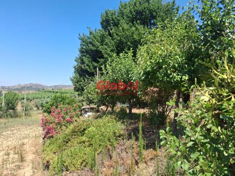 Quinta  Venda em Castelo de Penalva,Penalva do Castelo