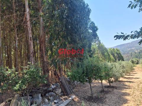 Quinta  Venda em Castelo de Penalva,Penalva do Castelo