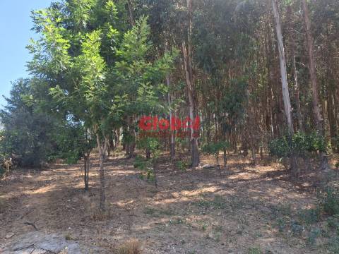 Quinta  Venda em Castelo de Penalva,Penalva do Castelo