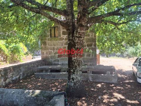 Quinta  Venda em Castelo de Penalva,Penalva do Castelo
