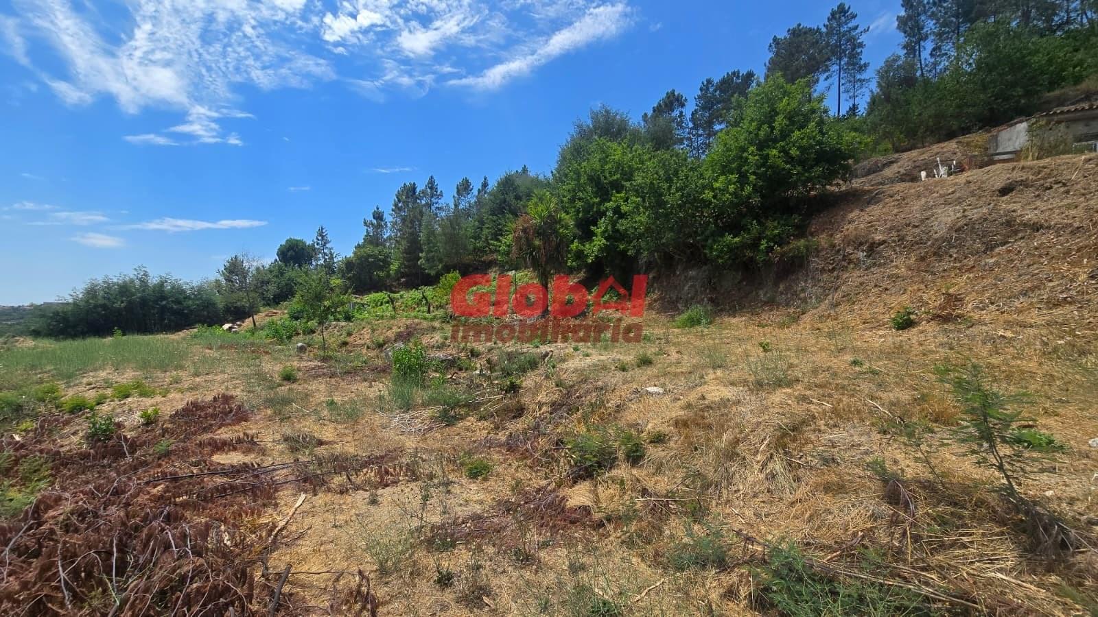 Quinta  Venda em Santos Evos,Viseu