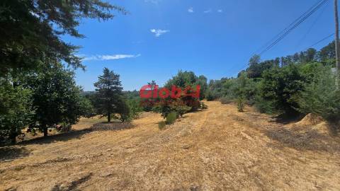 Quinta  Venda em Santos Evos,Viseu