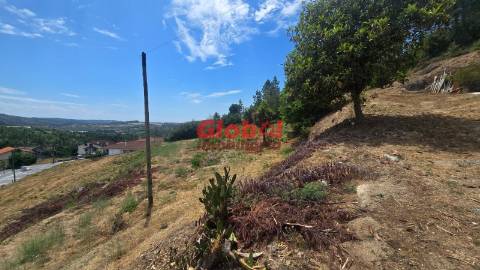 Quinta  Venda em Santos Evos,Viseu
