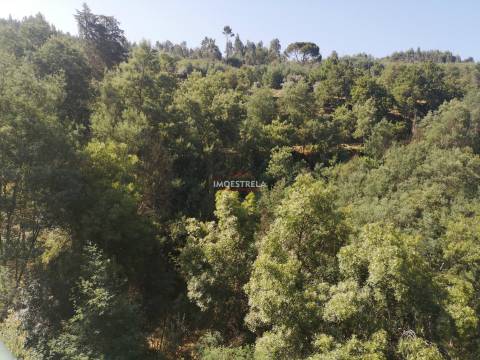 Quinta Rio Seia