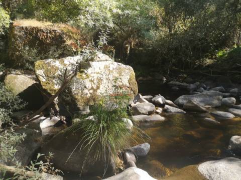 Quinta Rio Seia