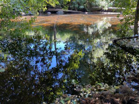 Quinta 3ha Rio Seia