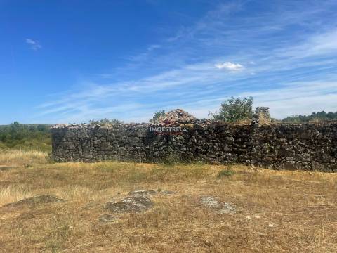 Quinta 3ha Pinhel
