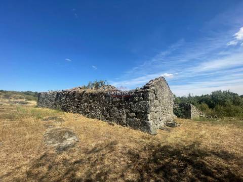 Quinta 3ha Pinhel