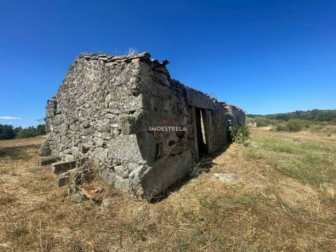 Quinta 3ha Pinhel