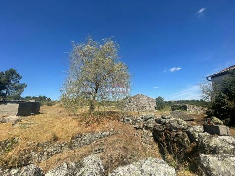 Quinta 3ha Pinhel