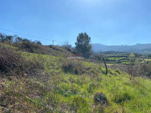 Terreno  Venda em Santa Marinha e São Martinho,Seia
