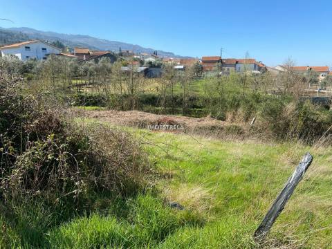 Terreno  Venda em Santa Marinha e São Martinho,Seia