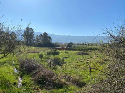 Terreno  Venda em Santa Marinha e São Martinho,Seia