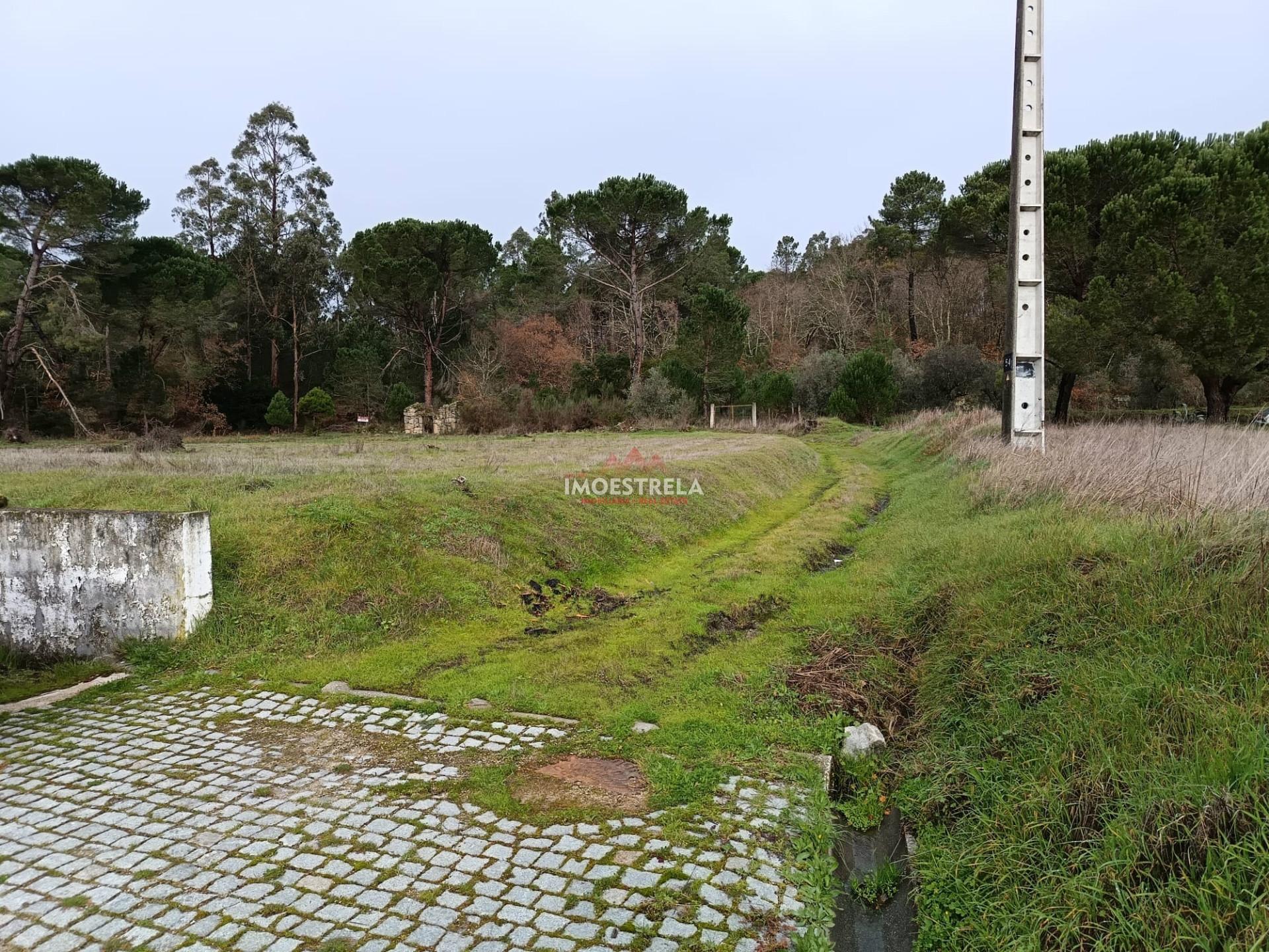 Terreno agrícola / florestal Seia