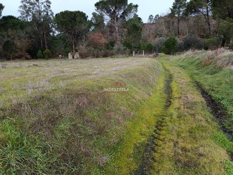 Terreno agrícola / florestal Seia