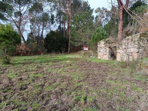 Terreno agrícola / florestal Seia