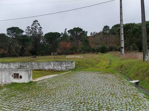 Terreno agrícola / florestal Seia